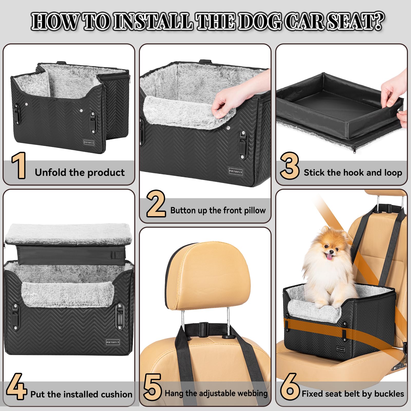 PETSFIT seat offers two elevated views for better sightlines