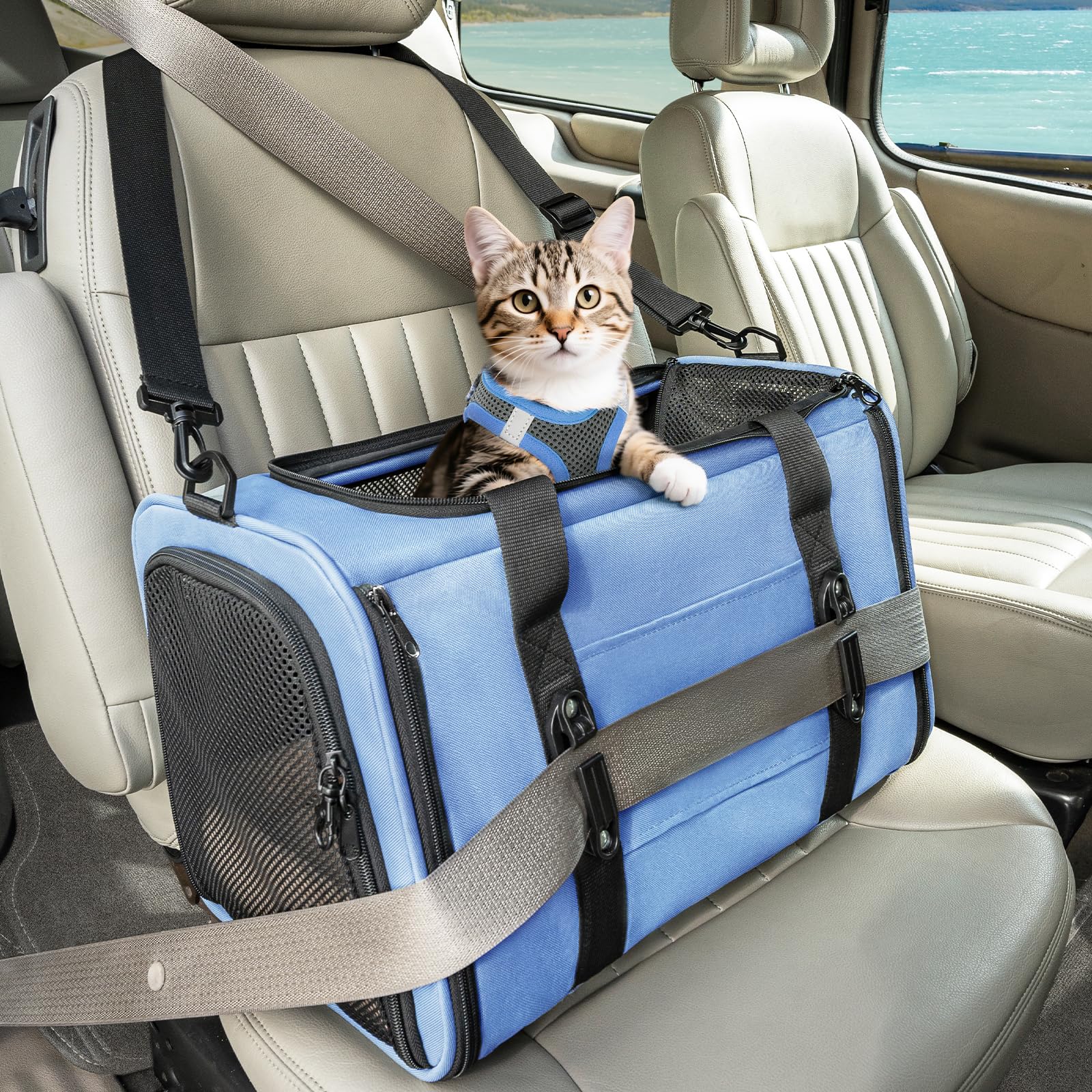 Petsfit soft-sided cat carrier front view, travel-ready and easy to store