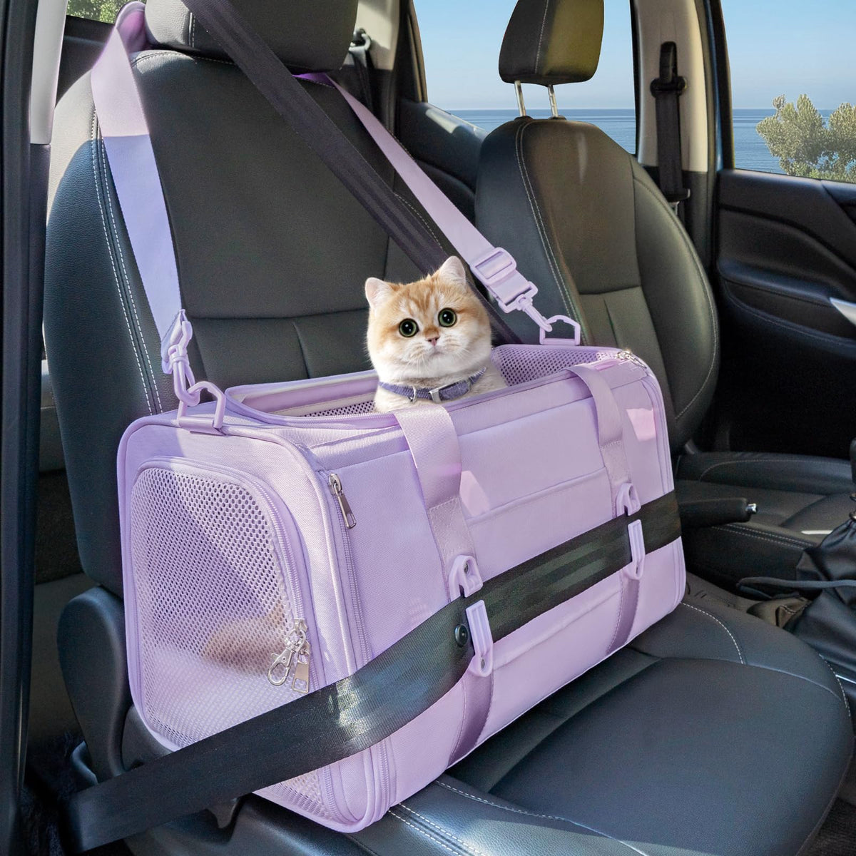 Petsfit soft-sided cat carrier front view, ideal for easy car trips with a calm cat