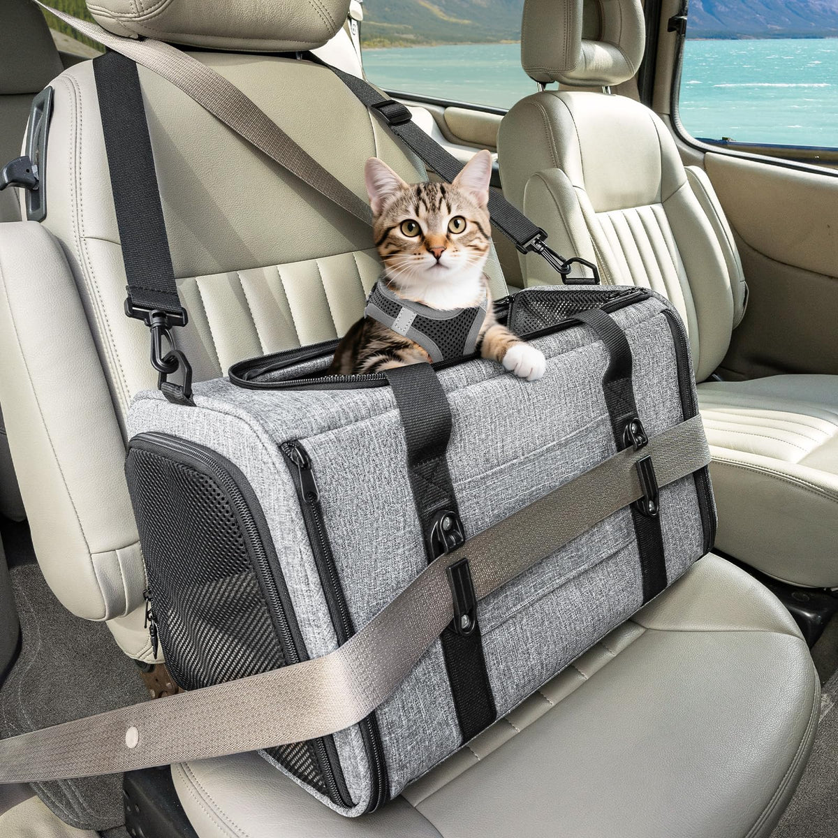 Petsfit soft-sided carrier with patented safety buckles for secure rides.