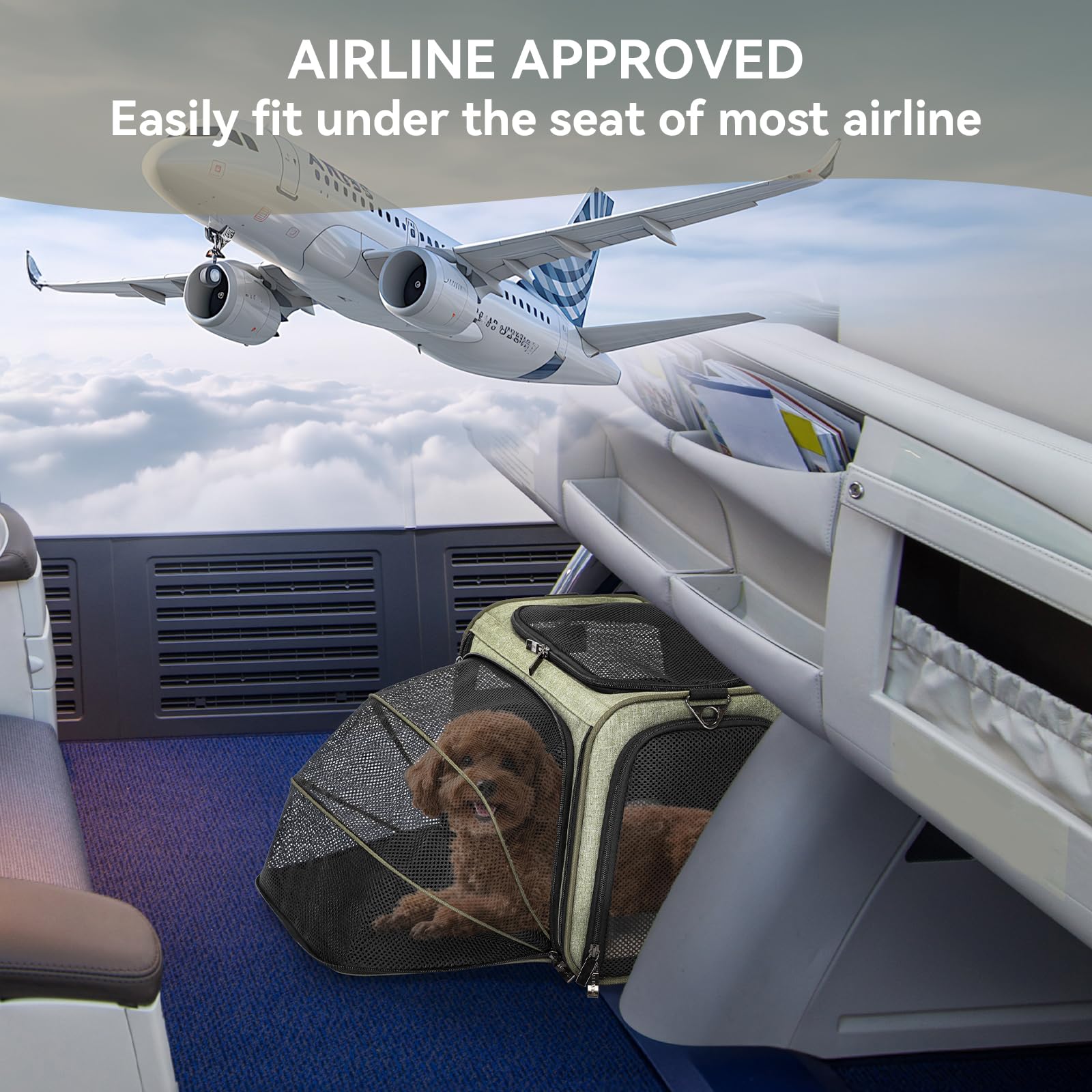 Petsfit two-way carry design fits under seats and on luggage handles.