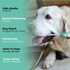 Petsie built-in timer and app aid consistent brushing sessions.