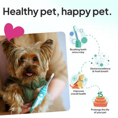 Petsie no toothpaste needed for easy brushing anywhere.