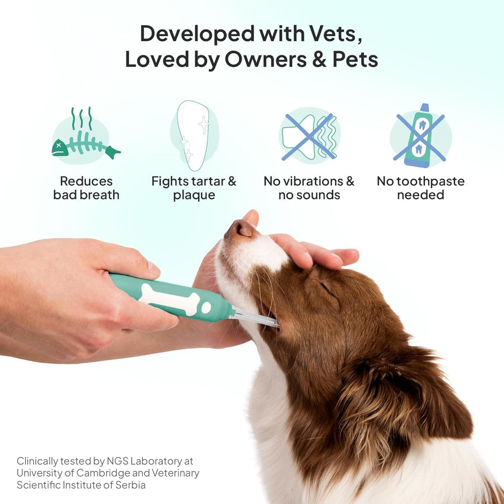 Petsie vet-approved design for safer, stress-free dog dental care.