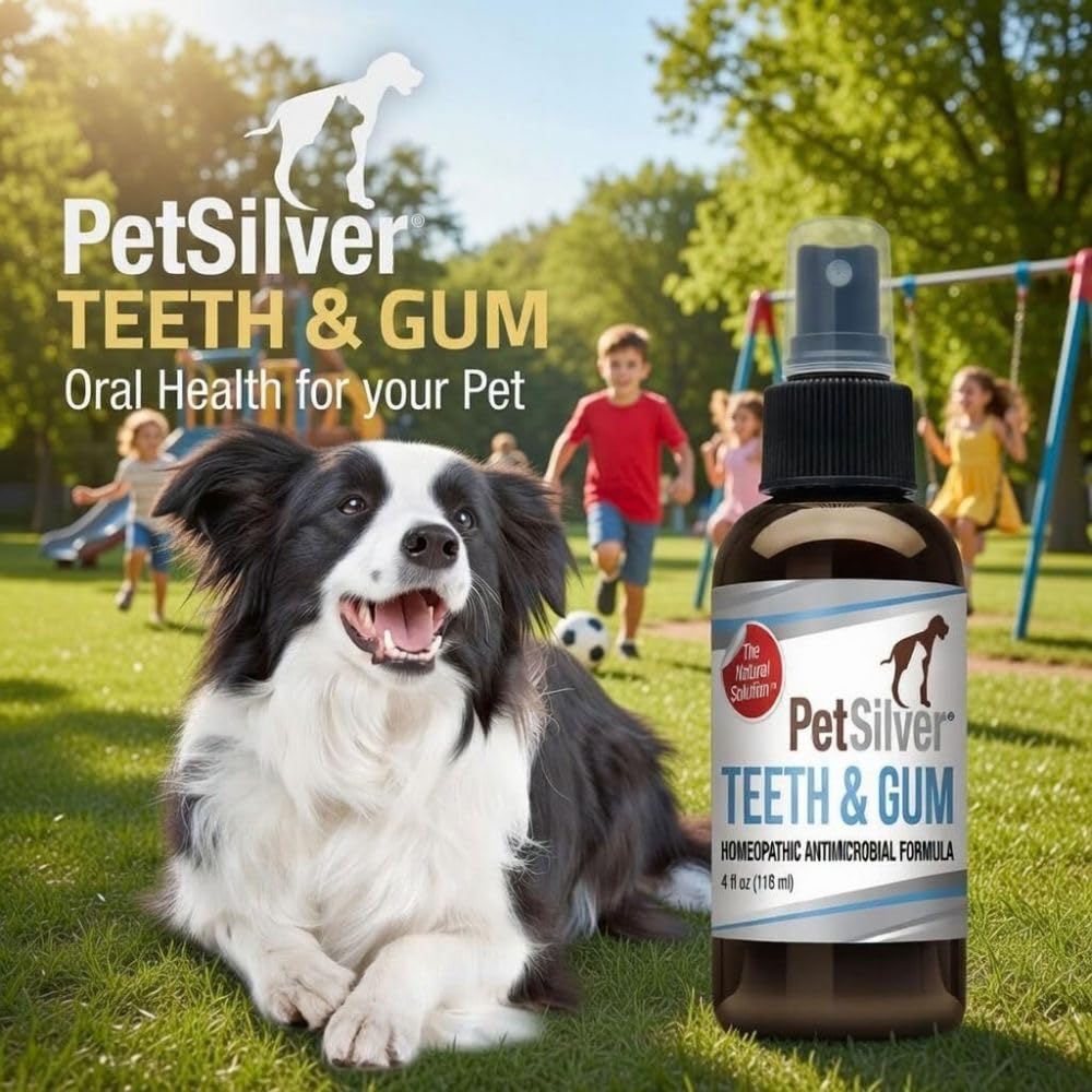 PetSilver cat dental care use shown for tartar control.