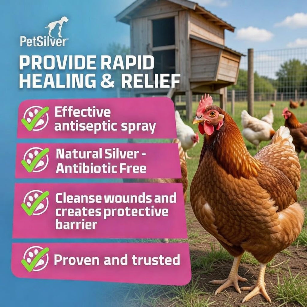 PetSilver applied on feet and wings for skin irritations in poultry.