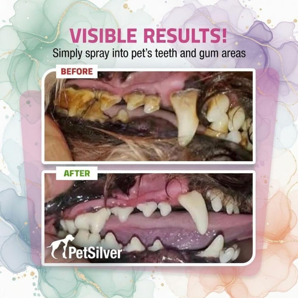 PetSilver dog breath freshening spray shown for quick odor relief.