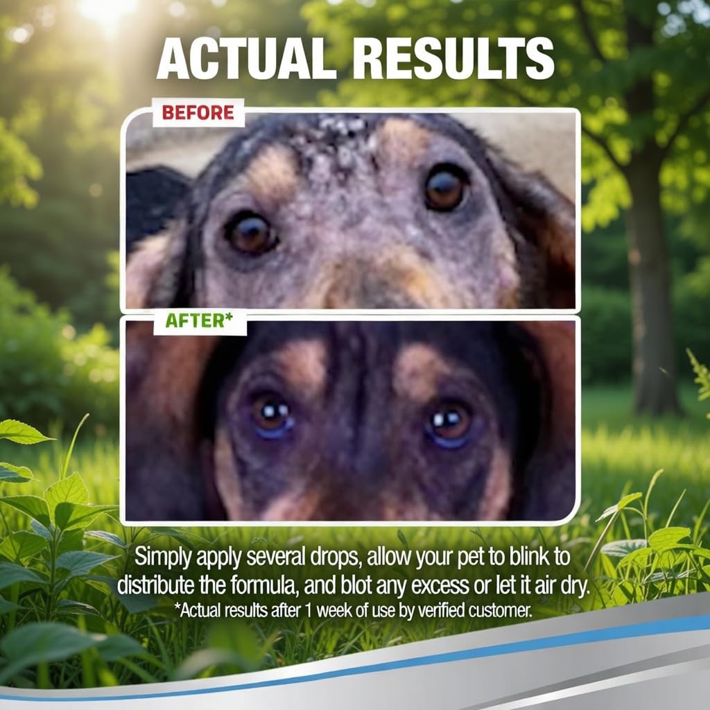 PetSilver Eye Drops safety highlights alcohol-free, fragrance-free formulation.