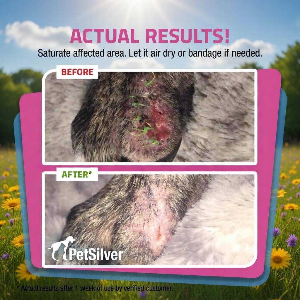 PetSilver spray shown safe to use on face, ears, and nose
