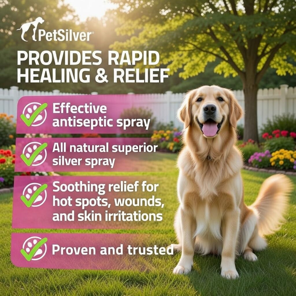 Dog hot spot treatment showing fast relief from itching with PetSilver