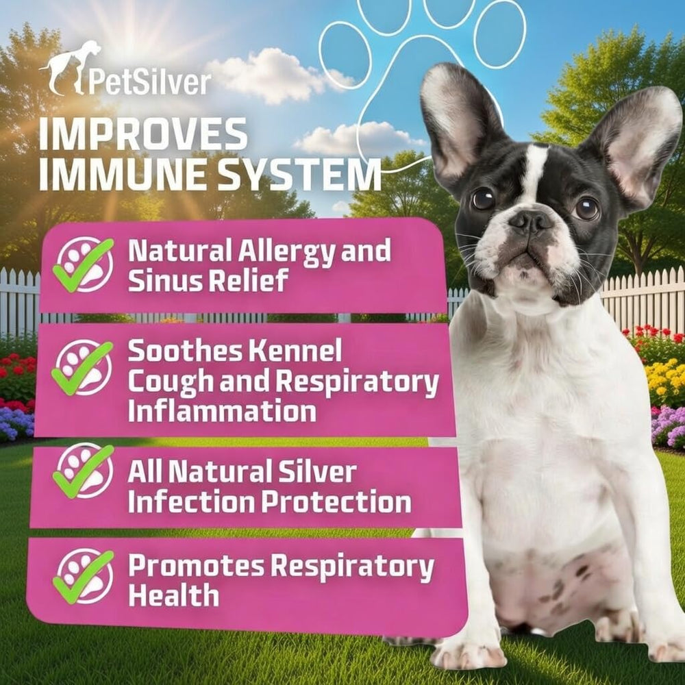PetSilver Immune Support for dogs helps ease coughing during routine care