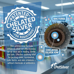 PetSilver Immune Support nebulizer use on pet demonstrates easy administration