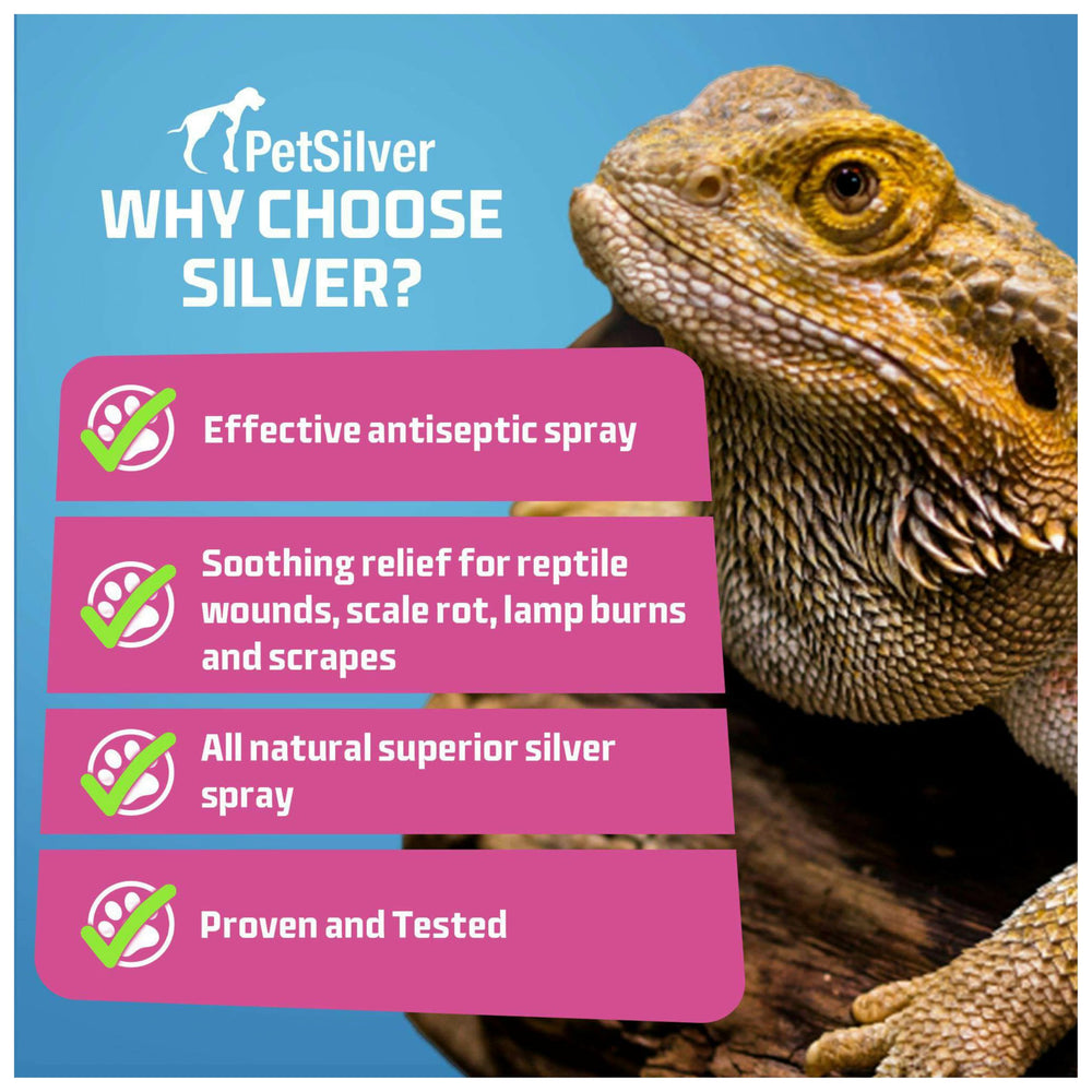 PetSilver Reptile Wound Spray application area showing safe, non-toxic care
