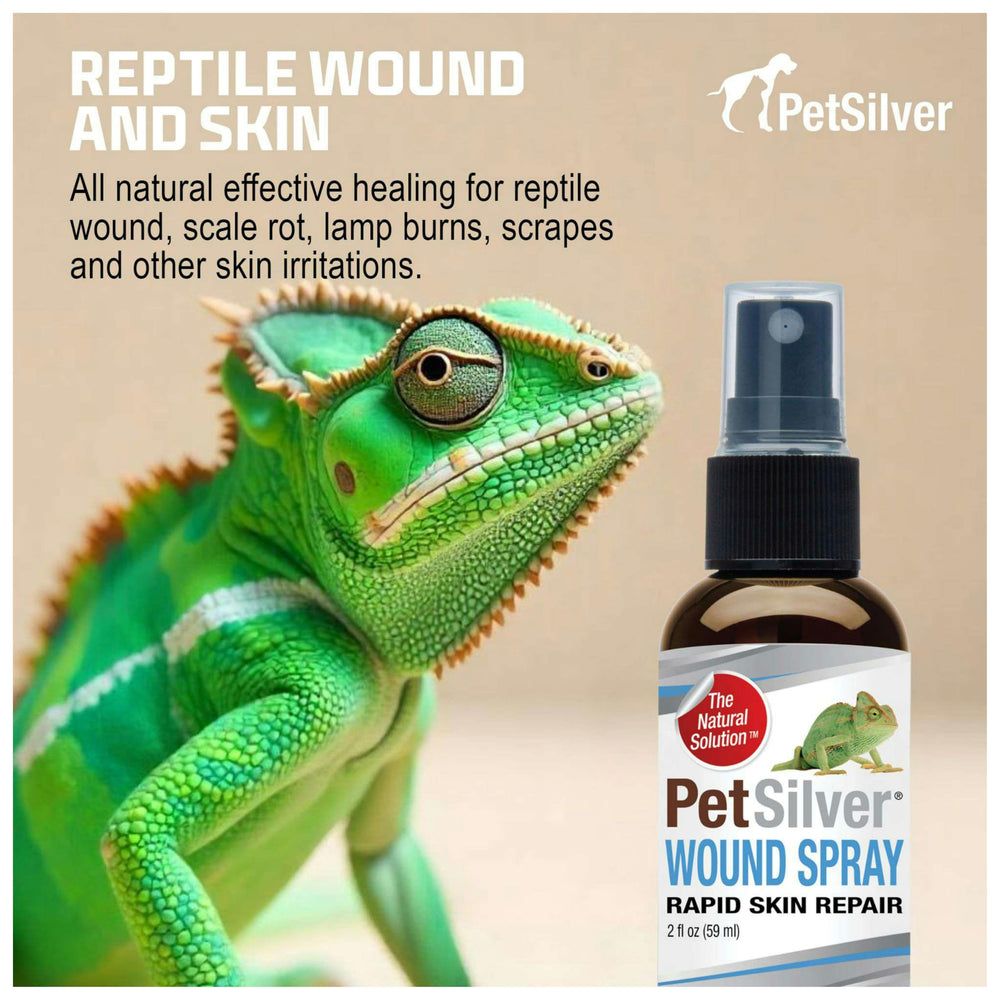 PetSilver Reptile Wound Spray applied on reptile skin for skin care