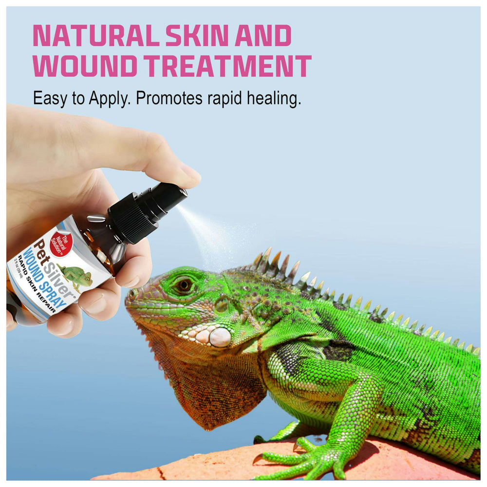 PetSilver Reptile Wound Spray pump dispense demonstrating easy, no-rinse use