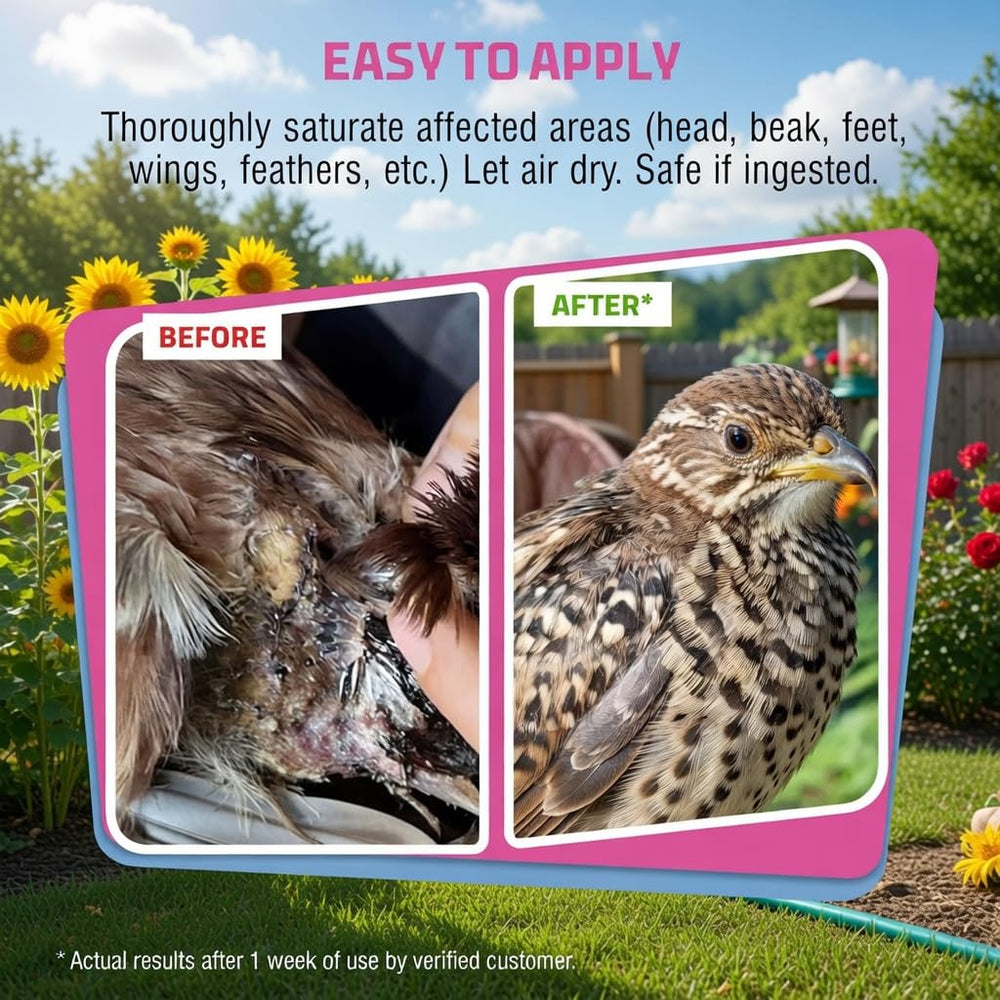 Birds can peck or lick during use with this gentle spray.