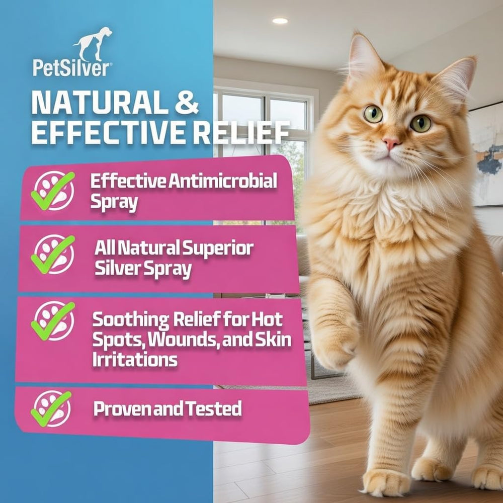 PetSilver Wound and Skin Spray on cat face and ears for itch relief.