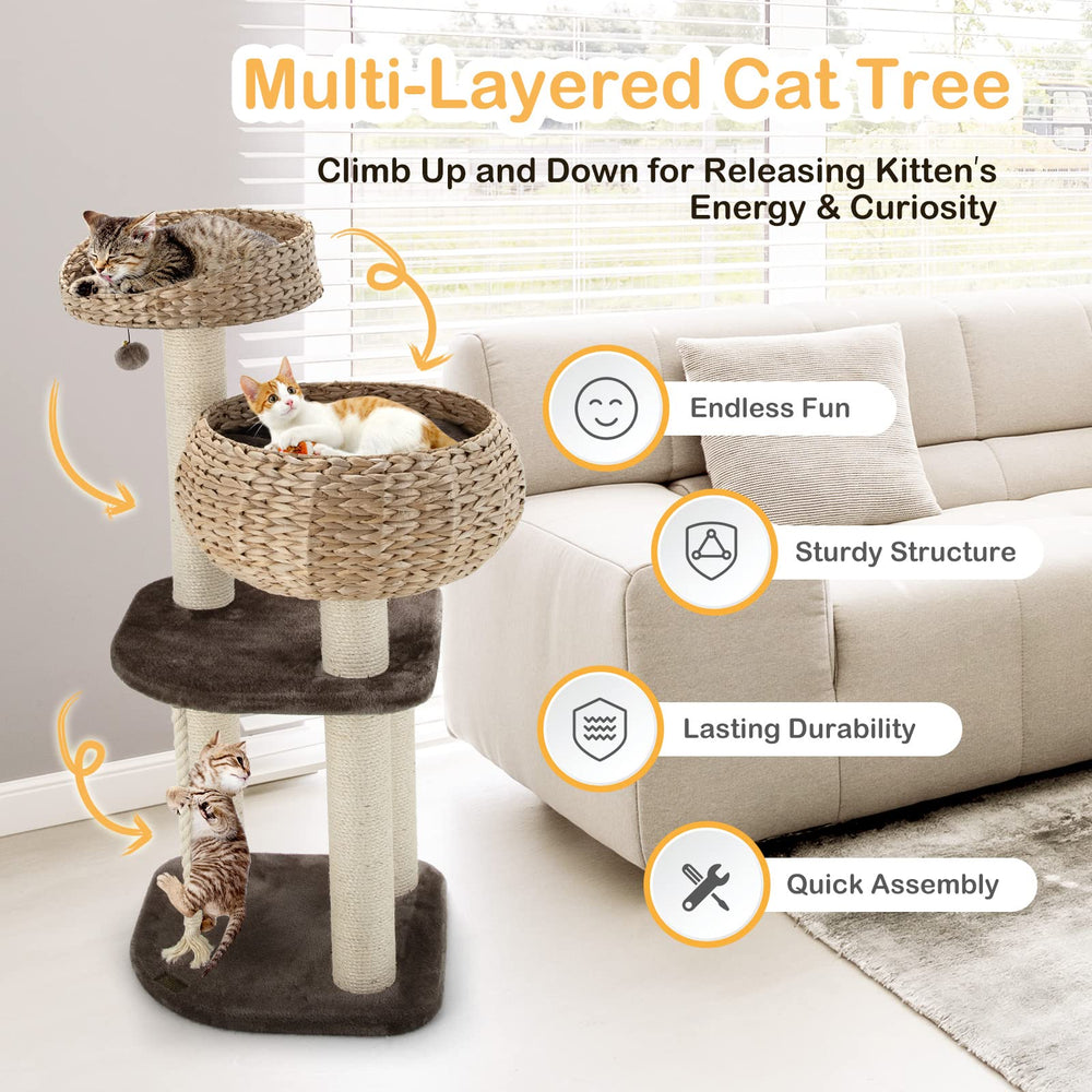 PETSITE dangling ball and rope spark playful, interactive sessions.