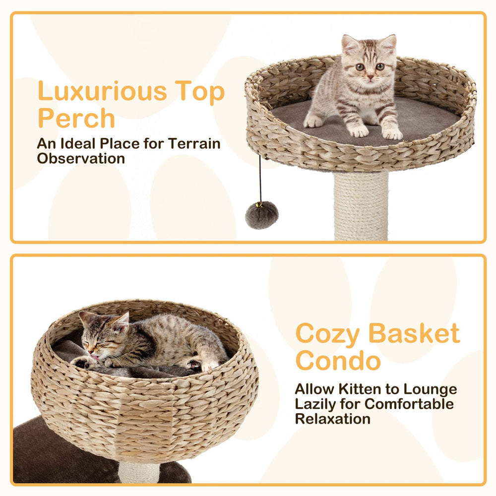 PETSITE five sisal posts encourage scratching and furniture protection.