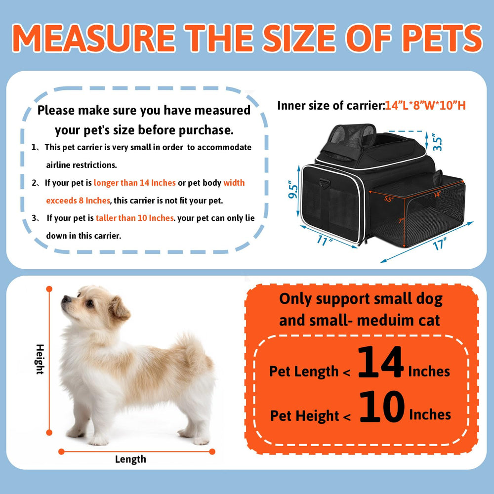 Petskd five-sided mesh ventilation for airflow and visibility