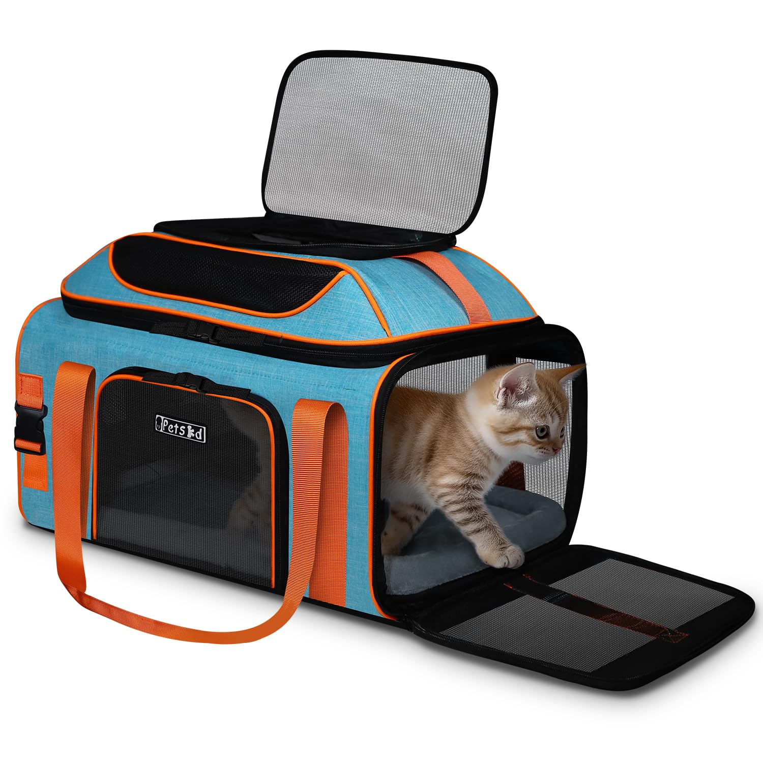 Petskd top expandable pet carrier under‑seat in blue showing compact travel profile and under seat fit