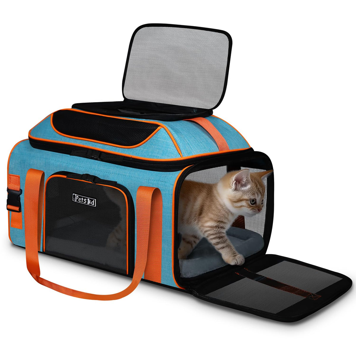 Petskd top expandable pet carrier under‑seat in blue showing compact travel profile and under seat fit