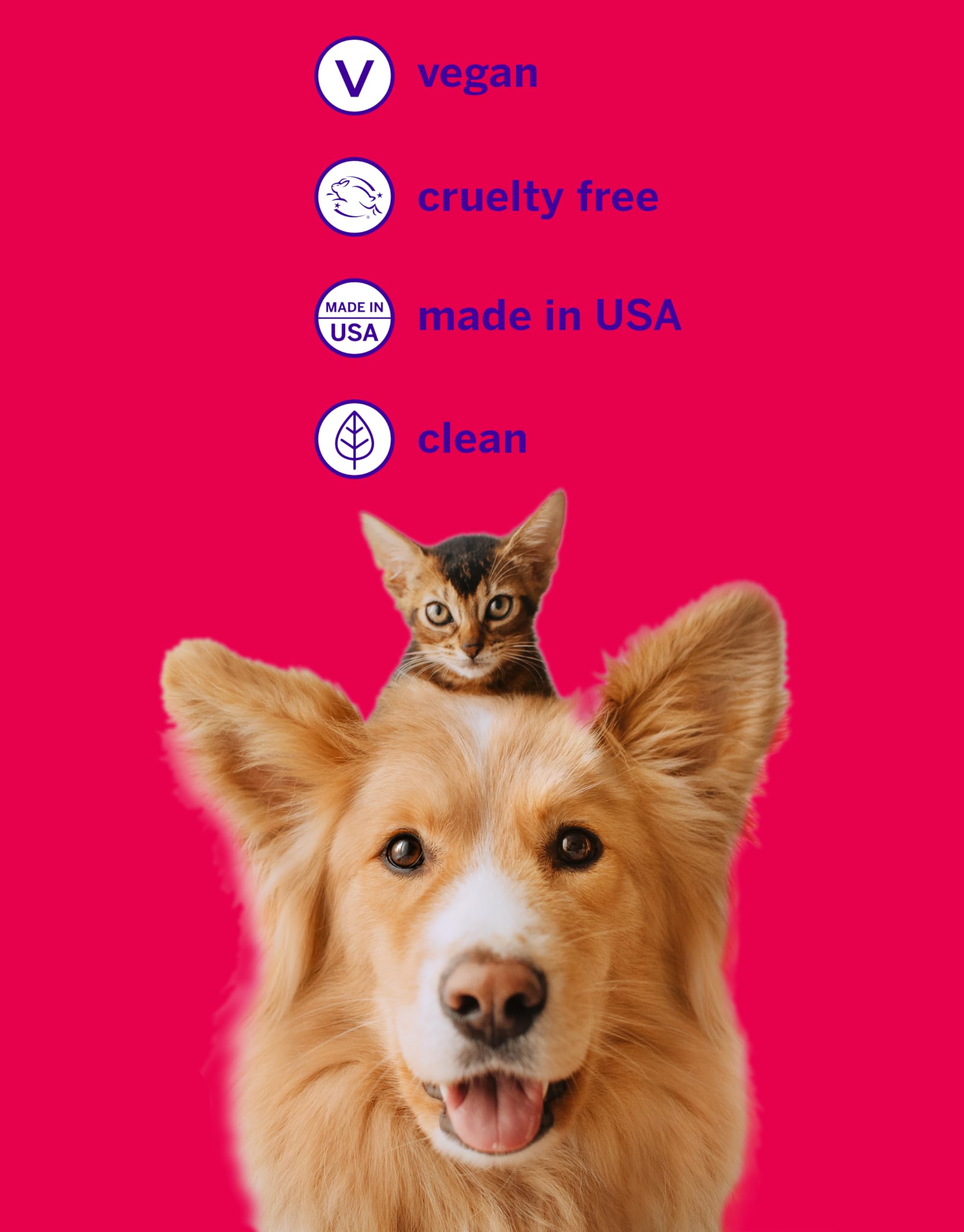 Dog and cat owner using Petsmile kit in a home dental routine.