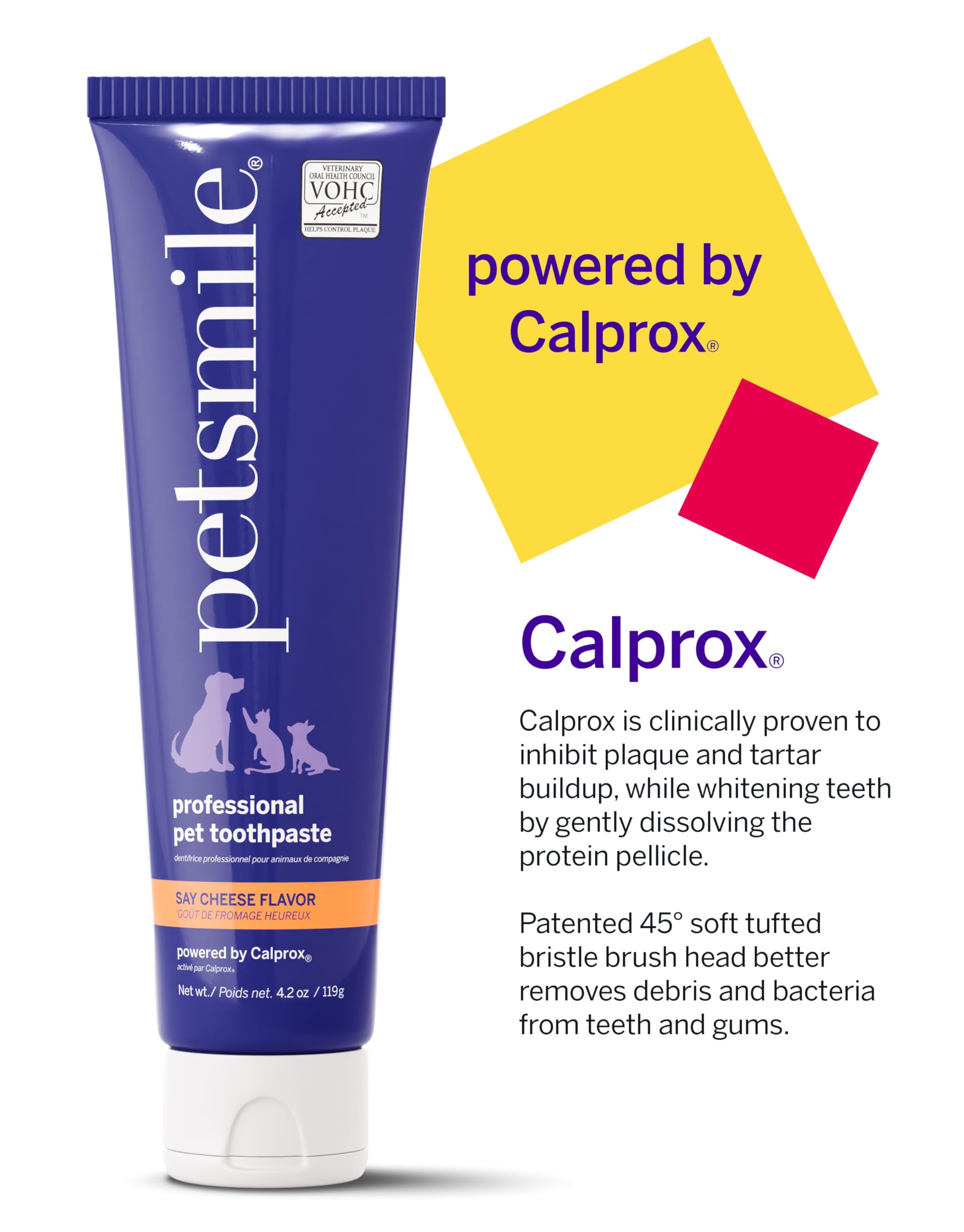 Petsmile Professional paste dog application on teeth for care.
