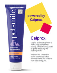 Petsmile Professional paste dog application on teeth for care.