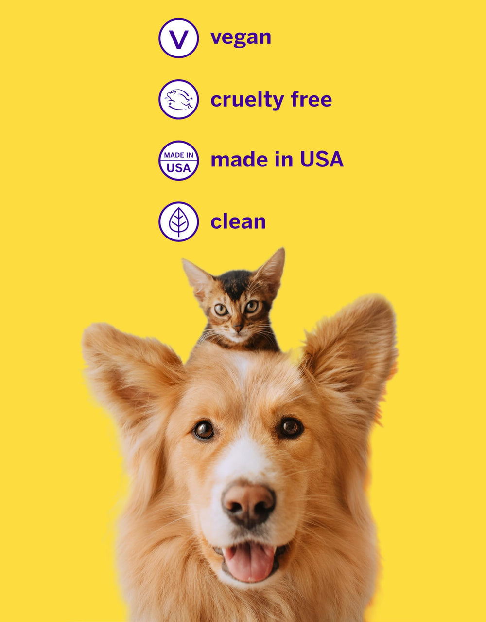 Petsmile USA-made toothpaste chosen by veterinarians for its proven formula.
