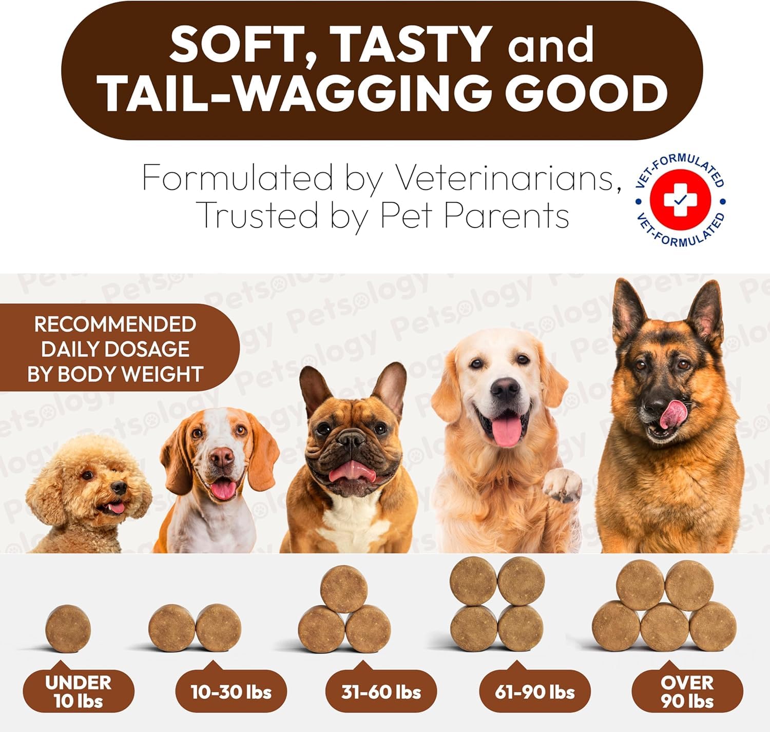 Petsology 25-in-1 multivitamin chews canister showcases comprehensive daily nutrition.