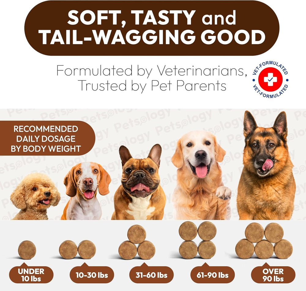 Petsology 25-in-1 multivitamin chews canister showcases comprehensive daily nutrition.