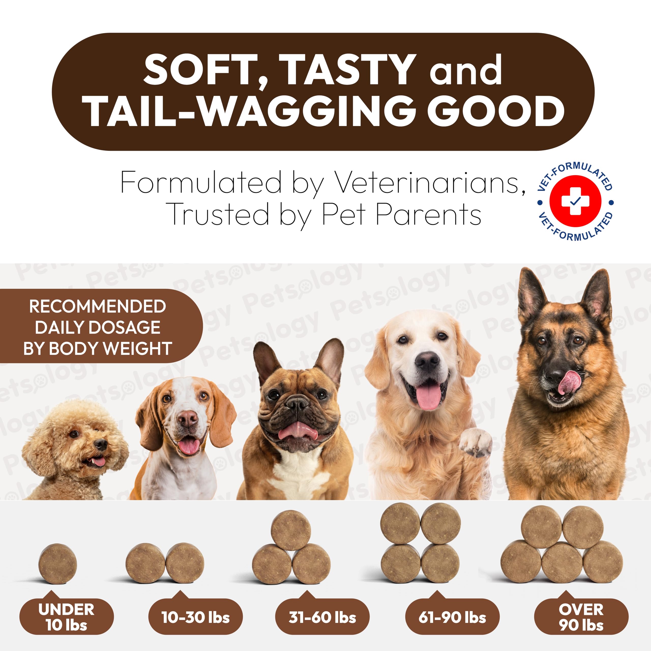 Petsology 7-mushroom blend dog supplement bottle on counter with natural ingredients.