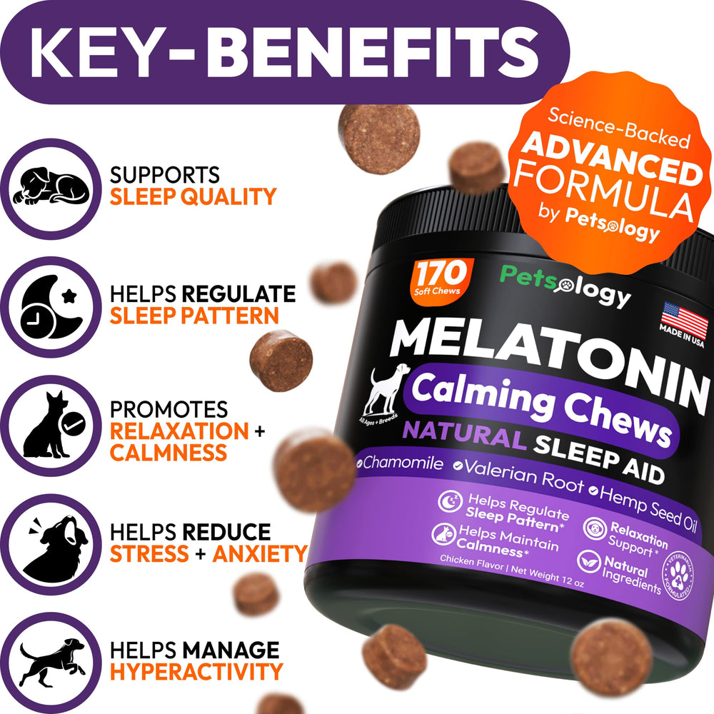 Petsology melatonin dog chews close-up showing hemp blend for nighttime calm