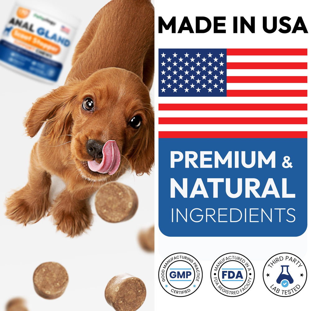Petsology all-dogs-friendly formula; suitable for puppies to seniors.