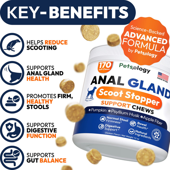 Petsology Anal Gland Support Chews close-up; tasty daily treat designed for digestion.