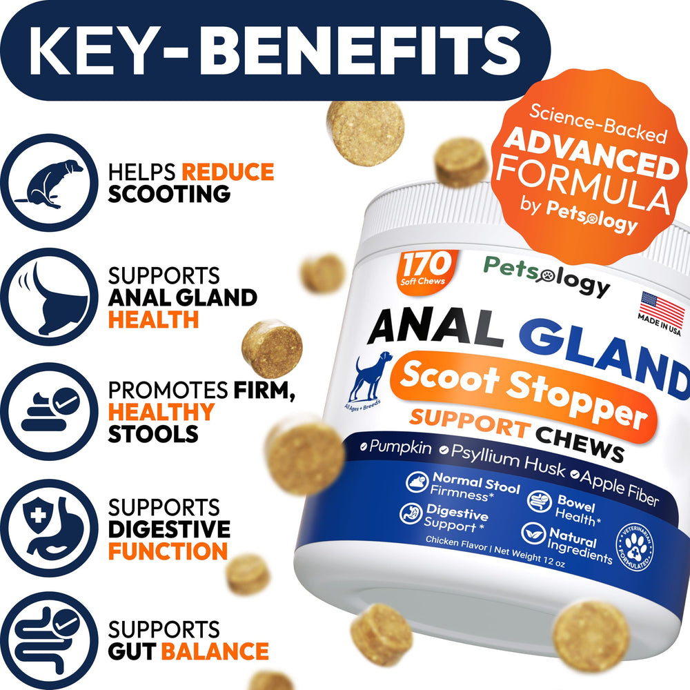 Petsology Anal Gland Support Chews close-up; tasty daily treat designed for digestion.