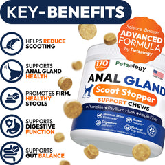 Petsology Anal Gland Support Chews close-up; tasty daily treat designed for digestion.