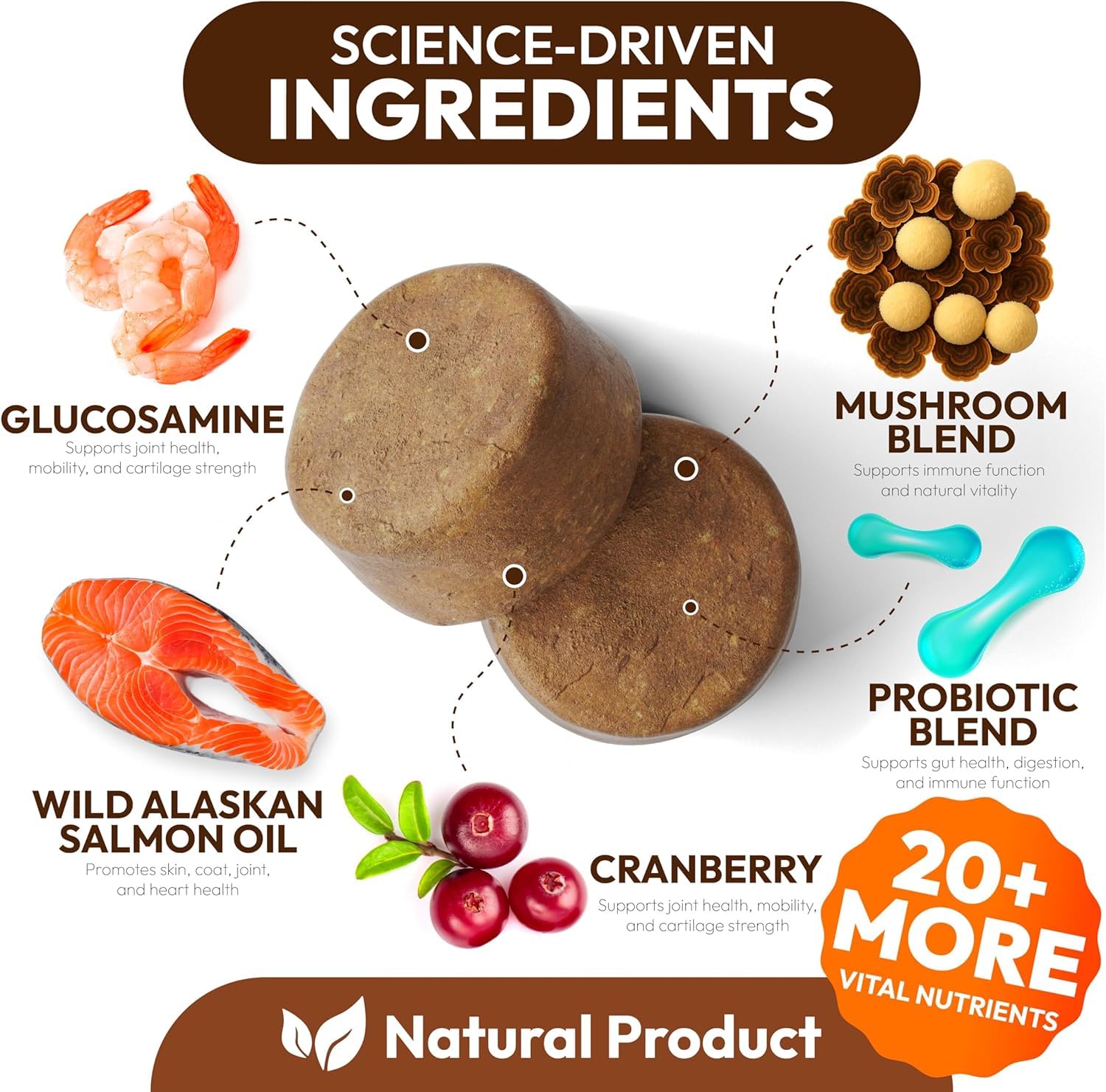Petsology Buddy Immune Support chews pack promotes immune wellness for dogs.