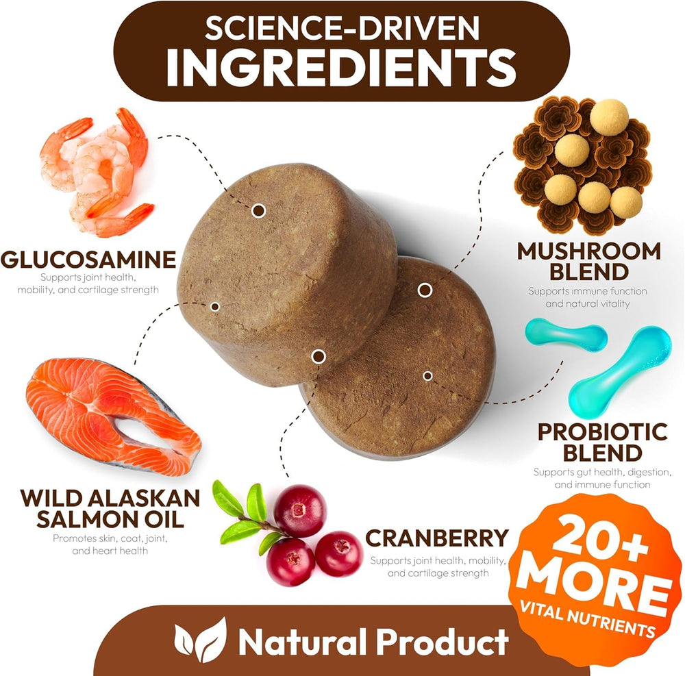 Petsology Buddy Immune Support chews pack promotes immune wellness for dogs.