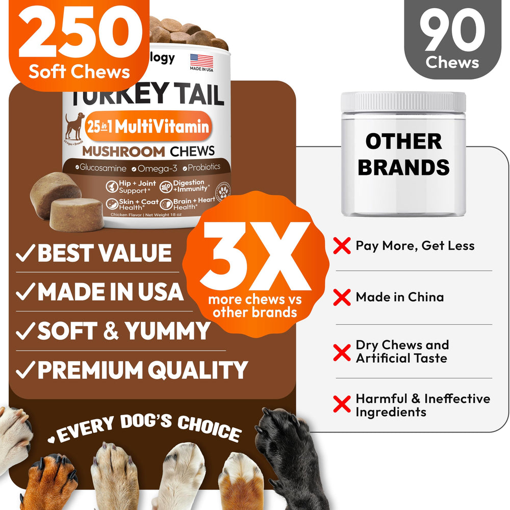 Petsology Buddy Immune Support label emphasizes veterinary multivitamin blend.
