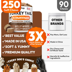 Petsology Buddy Immune Support label emphasizes veterinary multivitamin blend.
