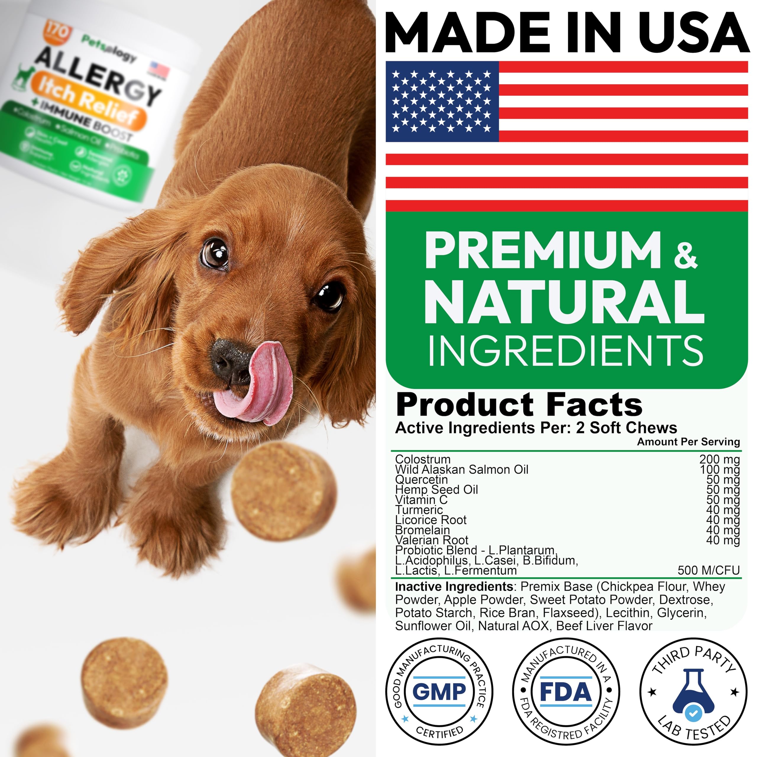 Petsology Dog Allergy Relief Chews dog sniffing a treat ready to eat