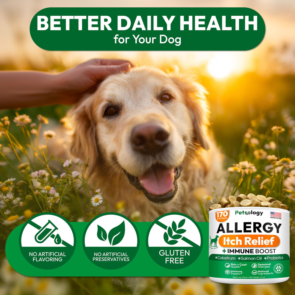 Petsology Dog Allergy Relief Chews packaging back with ingredients and safety notes