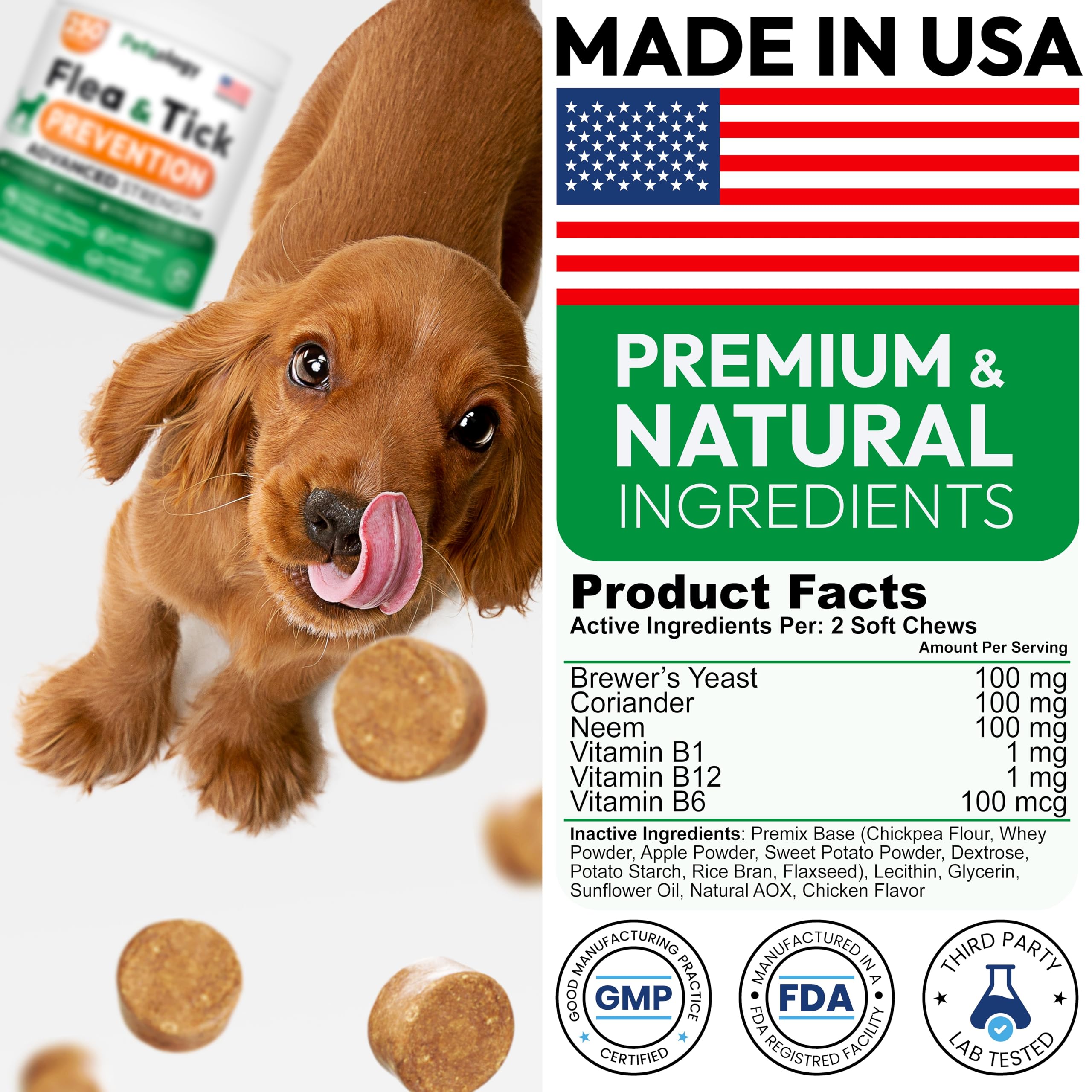 Petsology dog enjoying chew highlighting tasty flavor.