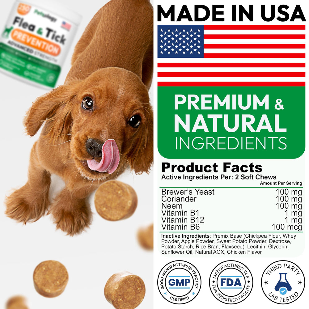 Petsology dog enjoying chew highlighting tasty flavor.