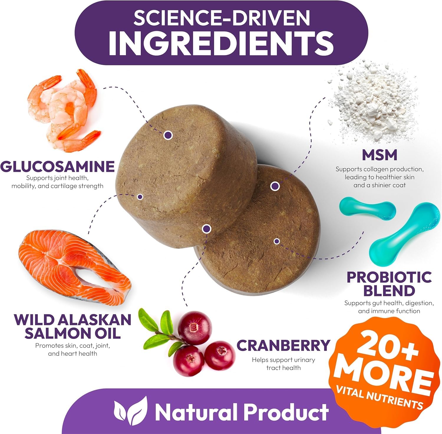 Petsology dog multivitamin chewable bottle open reveals chews for daily routines