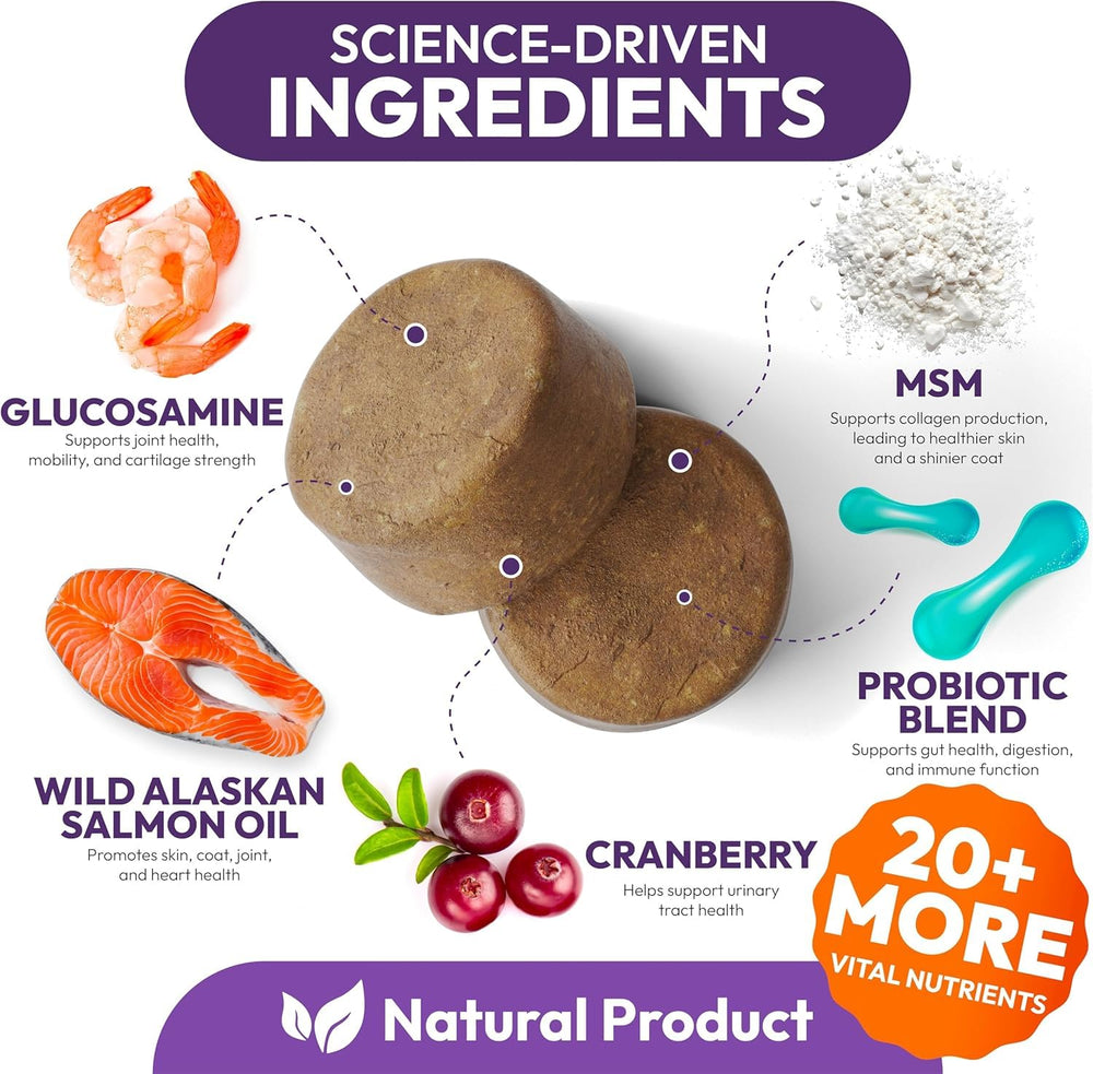 Petsology dog multivitamin chewable bottle open reveals chews for daily routines