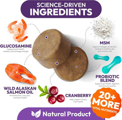 Petsology dog multivitamin chewable bottle open reveals chews for daily routines