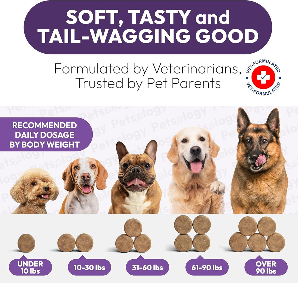 Petsology dog multivitamin chewables close-up label and 2-pack detail